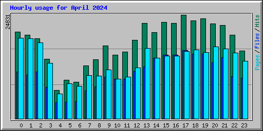 Hourly usage for April 2024