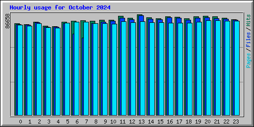 Hourly usage for October 2024